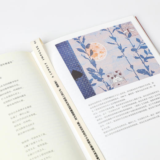 寂然的狂喜 叶芝的诗与回声 商品图0