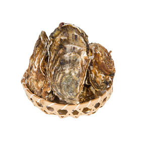 金标乳山生蚝 1斤3-4只左右 （生蚝可免费撬开，先称重后撬蚝，需要备注！）