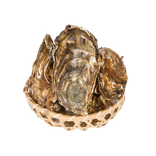 金标乳山生蚝 1斤3-4只左右 （生蚝可免费撬开，先称重后撬蚝，需要备注！） 商品图0