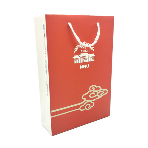 南师文创丨 纸质手拎袋 商品图0