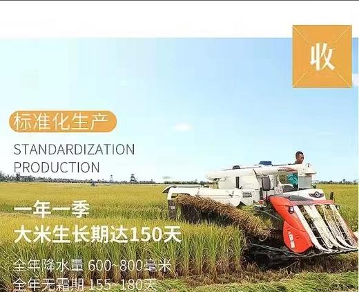 HEB五常长粒香大米5kg/袋 商品图7