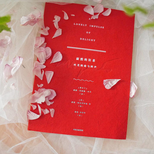 寂然的狂喜 叶芝的诗与回声 商品图2