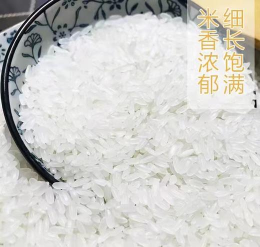 HEB家家乐稻花香大米10kg/袋 商品图4