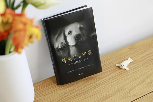 (仓发) 再见了，可鲁/南海出版公司/[日]，石黑谦吾/9787544293174 商品图3