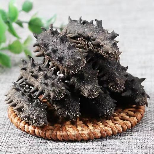 100-120头（大连珍品海参散装）-央珍海参 商品图2