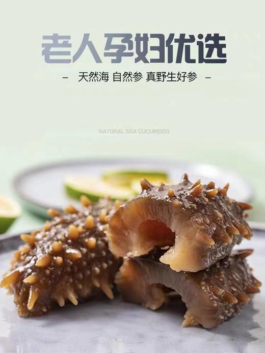 央珍即食海参10根/盒（大连海洋岛珍品海参） 商品图4
