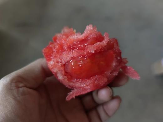 健源农场 酵素生态种植西红柿，露天番茄 品种：京粉 商品图10