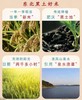 HEB五常稻花香5kg/袋 商品缩略图7