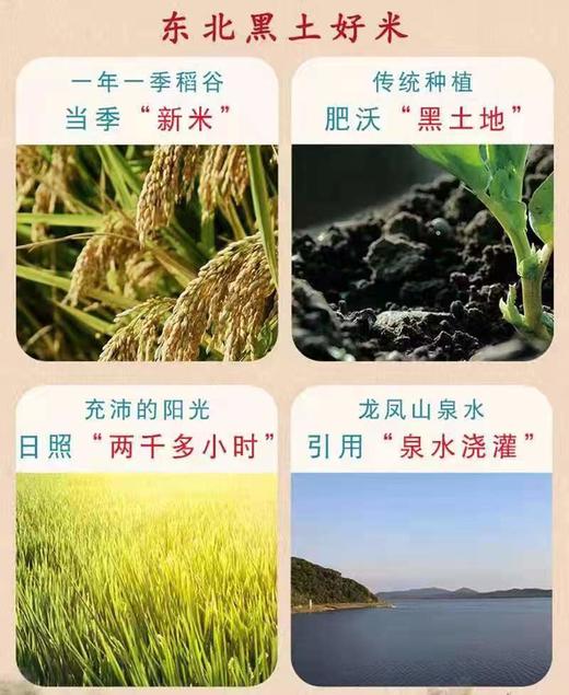 HEB五常稻花香5kg/袋 商品图7