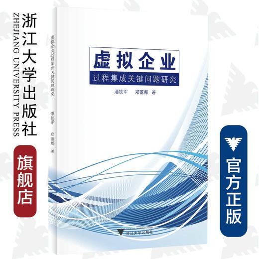 虚拟企业过程集成关键问题研究/潘铁军/郑蕾娜/浙江大学出版社 商品图0