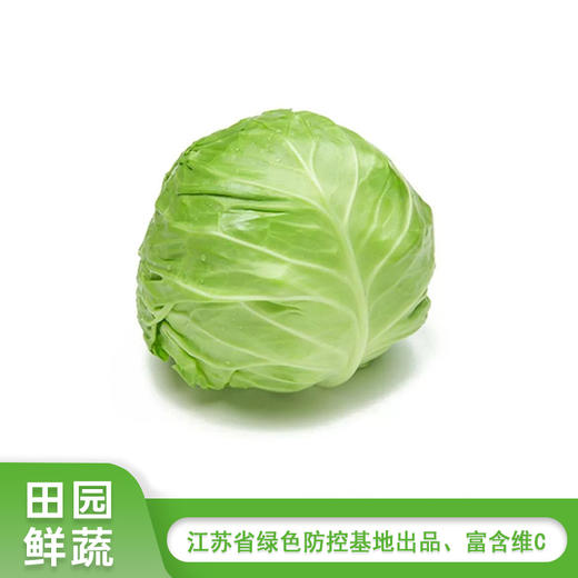 青甘蓝750g-850g 商品图0