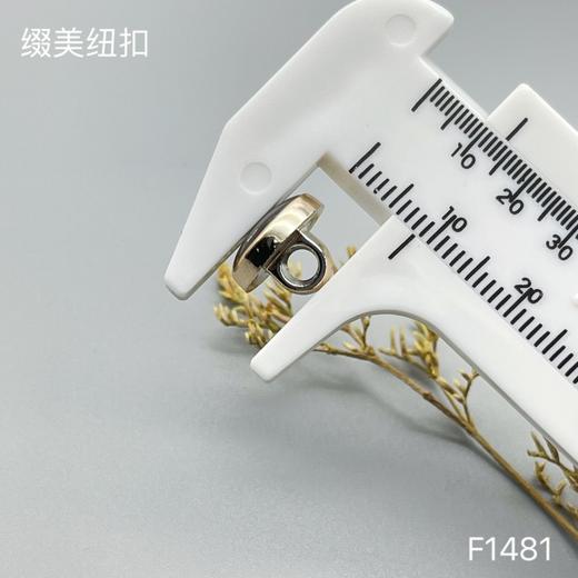 F1481(整包购买) 商品图3