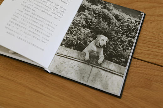 (仓发) 再见了，可鲁/南海出版公司/[日]，石黑谦吾/9787544293174 商品图4