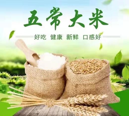HEB五常稻花香5kg/袋 商品图1