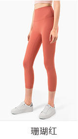 壁虎瑜伽【2206KZ178】高腰提臀显瘦七分裤 商品图2