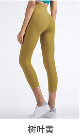 壁虎瑜伽【2206KZ178】高腰提臀显瘦七分裤 商品图0