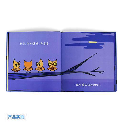 (仓发) 幼幼小动物绘本（共3册)  麦克米伦世纪/二十一世纪出版社集团/[美]托妮.尤利/9787556816576 商品图7