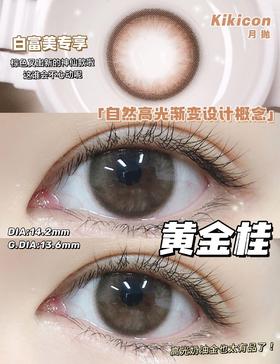 kikicon月抛美瞳 黄金桂 14.2mm