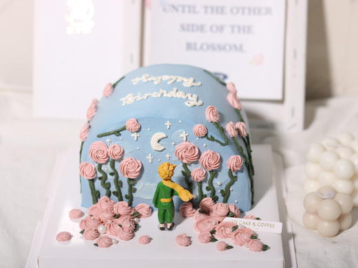 小王子与玫瑰KC292 商品图3