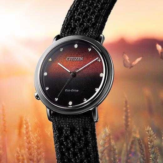 西铁城日本官方正品光动能女士手表EM1007-47E 商品图3