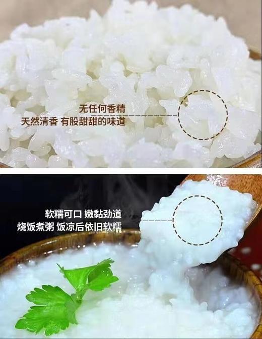 HEB农家稻花香5kg/袋 商品图6