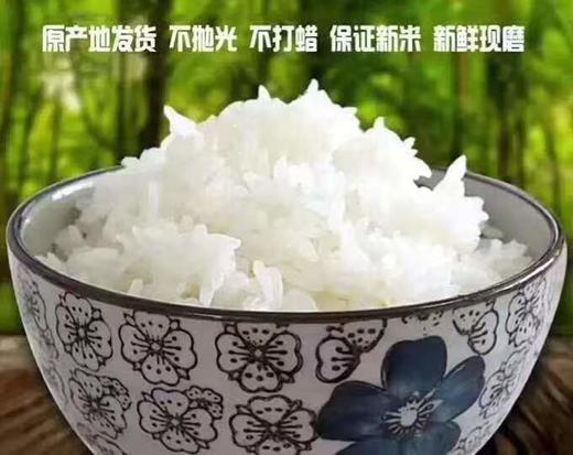 HEB农家稻花香5kg/袋 商品图5