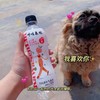 卡哇森林气泡水一箱（拼团) 商品缩略图0