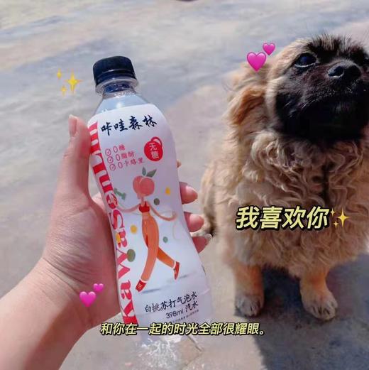 卡哇森林气泡水一箱（拼团) 商品图0