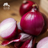 生态河南洋葱 | 合作生产* Eco- onion | Coproduction 商品缩略图3