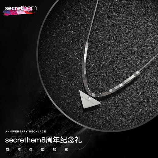 【秘币兑换】Secrethem 他秘定制项链 商品图5