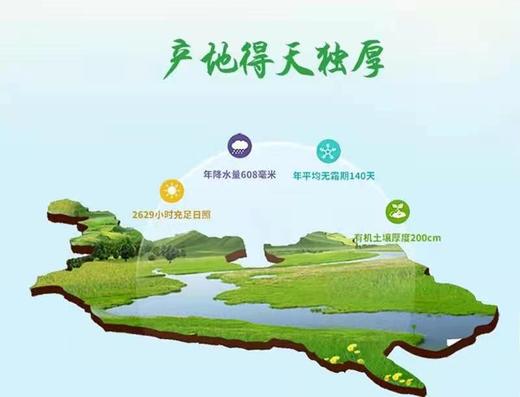 HEB家家乐稻花香大米10kg/袋 商品图6