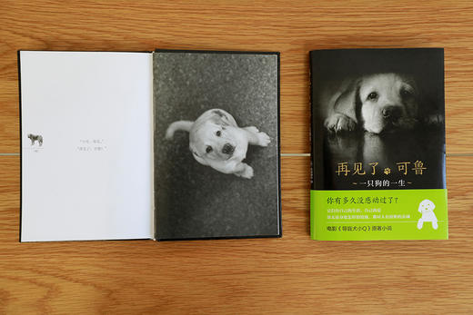 (仓发) 再见了，可鲁/南海出版公司/[日]，石黑谦吾/9787544293174 商品图2