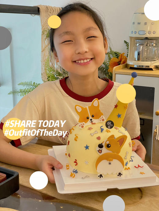 超级可爱的柯基蛋糕哦，蓝风车进口动物奶油搭配手工翻糖装饰，全部可食用，提前48小时预定 商品图4