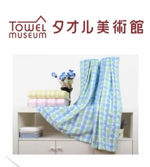 5F毛巾美术馆毛巾被 商品图0