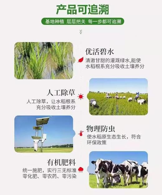 HEB农家稻花香5kg/袋 商品图9