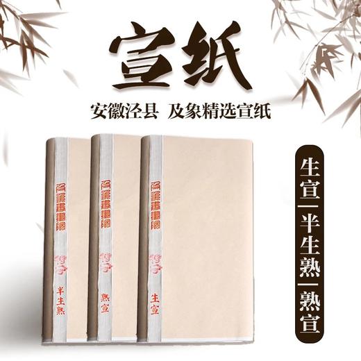 【庆学堂】精选书画宣纸 生宣/熟宣/半生熟初学者适用 练习白宣 商品图0