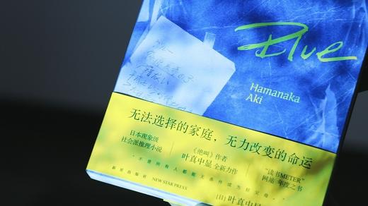 (仓发) 午夜文库：Blue（绝叫作者叶真中显全新作品）/新星出版社/[日]叶真中显/9787513345651 商品图6