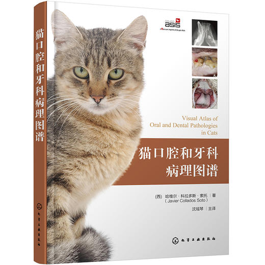 (仓发) 猫口腔和牙科病理图谱/化学工业出版社/[西]哈维尔·科拉多斯·索托（Javier,Collados,Soto）　/9787122381576 商品图1