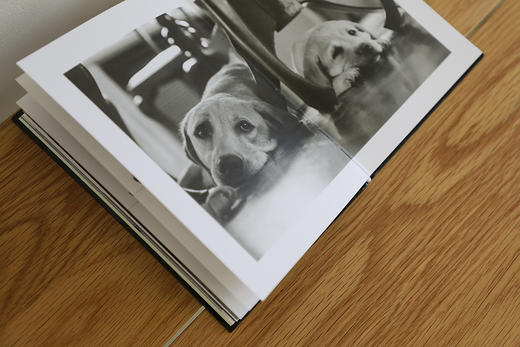 (仓发) 再见了，可鲁/南海出版公司/[日]，石黑谦吾/9787544293174 商品图5