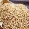 HEB五常长粒香大米5kg/袋 商品缩略图10