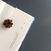 (仓发) 大雪将至/南海出版公司/罗伯特·泽塔勒/9787544258197 商品缩略图4