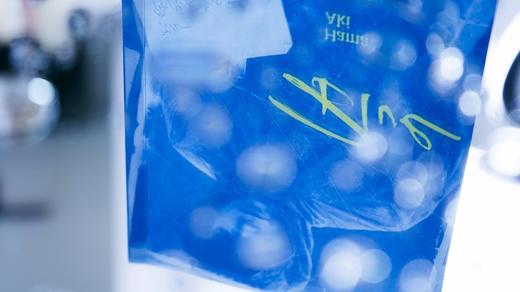 (仓发) 午夜文库：Blue（绝叫作者叶真中显全新作品）/新星出版社/[日]叶真中显/9787513345651 商品图4