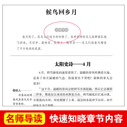 (仓发) 森林报/爱阅读儿童文学名著阅读快乐读书吧四年级下册推荐 世界动物文学经典/天地出版社/维塔利·瓦连季诺维奇·比安基/9787545558142 商品图3