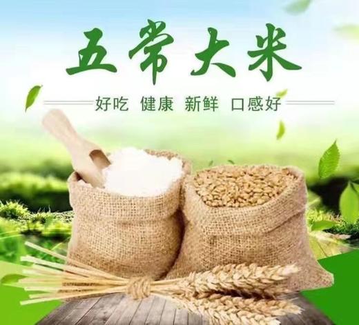 HEB家家乐稻花香大米10kg/袋 商品图1