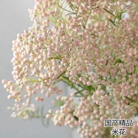 米花粉色白色1扎