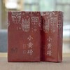 小黄砖「白莺山古树黄片」普洱生茶（250g*2块） 商品缩略图0