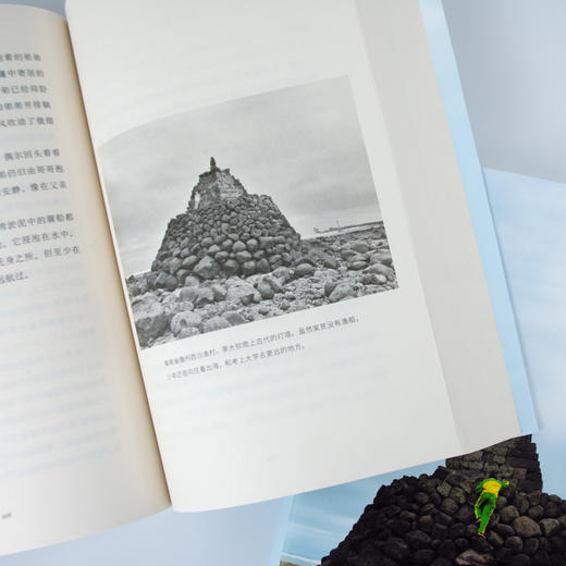 (仓发) 寂静的孩子 袁凌  中信出版社/中信出版集团，中信出版社/袁凌/9787521704471 商品图8