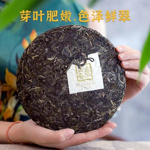 百中堂 2021年黄金春早云南高山普洱生茶饼早春生茶明前500克 商品图2