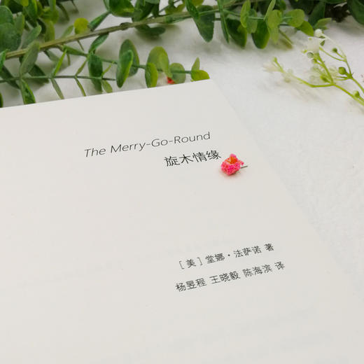 (仓发) 旋木情缘/天津人民出版社/[美]堂娜·法萨诺/9787201112817 商品图4