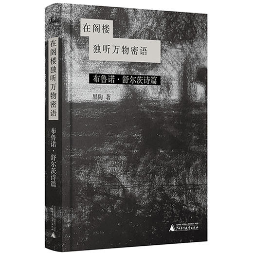 (仓发) 新民说·在阁楼独听万物密语：布鲁诺·舒尔茨诗篇/广西师范大学出版社/黑陶，新民说出品/9787559827555 商品图1